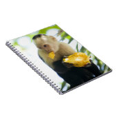 カプチンモンキーの食べ果実のクローズアップ ノートブック (右側)