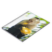 カプチンモンキーの食べ果実のクローズアップ ノートブック (左側)