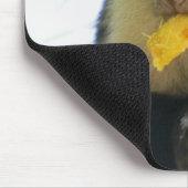 カプチンモンキーの食べ果実のクローズアップ マウスパッド (コーナー)