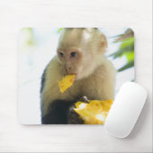 カプチンモンキーの食べ果実のクローズアップ マウスパッド (マウス)