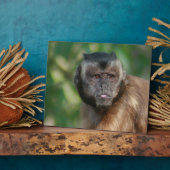 カプチンモンキー可愛いがクランキー フォトプラーク (側面)