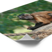 カプチンモンキー可愛いがクランキー ポスター (角)