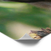 カプチンモンキー可愛いがクランキー ポスター (角)