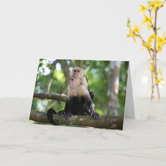 カプチンモンキー カード (黄色い花)