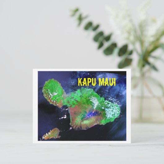 カプマウイ ポストカード (スタンド正面)