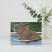 カプリン・ラウスとフーラ・フープ ポストカード (スタンド正面)