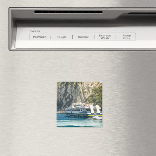 カプリ島のフェリー発着港 マグネット (インサイチュ (食洗機))