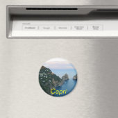 カプリ磁石 マグネット (インサイチュ (食洗機))