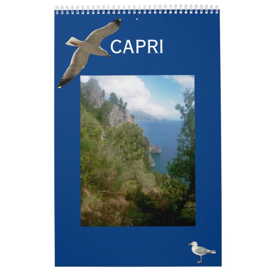 カプリ·ウォール·カレンダー島 カレンダー (カバー)
