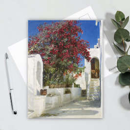 カプリ – オレアンダース州開花，ペデルセリンクレヤー ポストカード