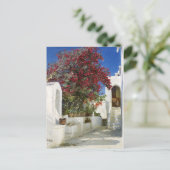 カプリ – オレアンダース州開花，ペデルセリンクレヤー ポストカード (スタンド正面)