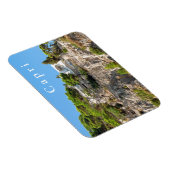 カプリ。#10 マグネット (右側)