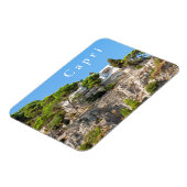 カプリ。#10 マグネット (左側)