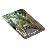 カプリ。#5 マグネット (右側)