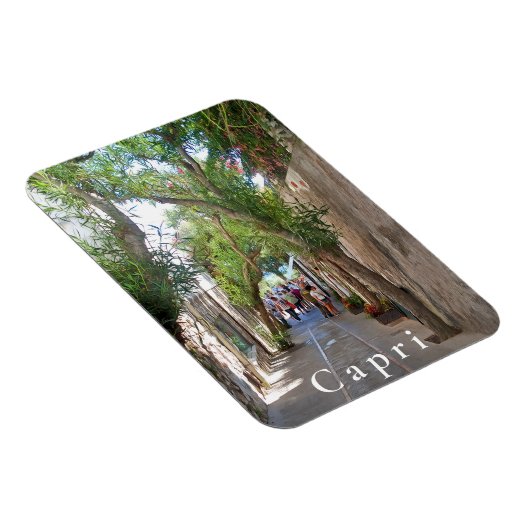 カプリ。#5 マグネット (右側)