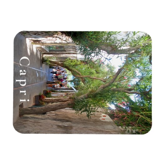 カプリ。#5 マグネット (横)