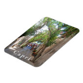 カプリ。#5 マグネット (左側)