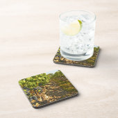 カベルネ·ソーヴィニョン·つる植物が一列に並んで コースター (右側)