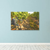 カベルネ・ソーヴィニヨンつる植物が キャンバスプリント (インサイチュ (ウッドフロア))