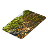 カベルネ・ソーヴィニヨンつる植物が マグネット (左側)