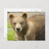 カホロデオソパルド ポストカード (正面/裏面)