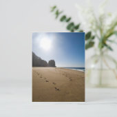 カボサンルーカスビーチ3 ポストカード (スタンド正面)