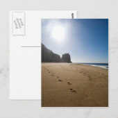 カボサンルーカスビーチ3 ポストカード (正面/裏面)