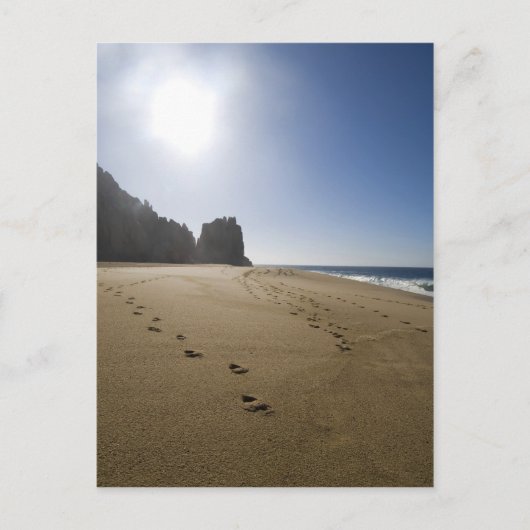 カボサンルーカスビーチ3 ポストカード (正面)