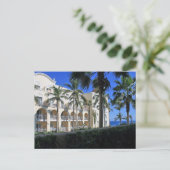カボサンルーカスメキシコパームツリーズブルースカイ ポストカード (スタンド正面)