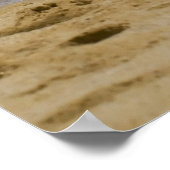 カボシーガル2 ポスター (角)