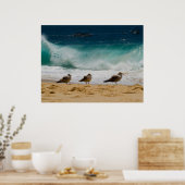 カボシーガル2 ポスター (キッチン)