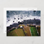 カボジラオマデイラ ポストカード (正面/裏面)