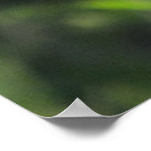 カボス・ウォレンのオコティロのポスター ポスター (角)