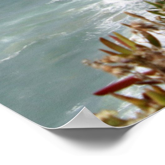 カボダロカ ポスター (角)