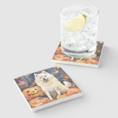 カボチャが怖いハロウィンアメリカ秋田 ストーンコースター (横)