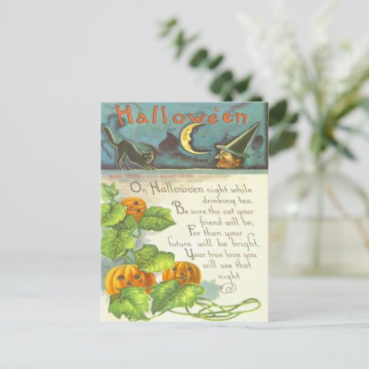カボチャつる植物のハロウィーンのカボチャのちょうちんの魔法使いの黒猫 ポストカード (スタンド正面)
