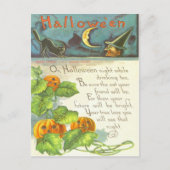 カボチャつる植物のハロウィーンのカボチャのちょうちんの魔法使いの黒猫 ポストカード (正面)