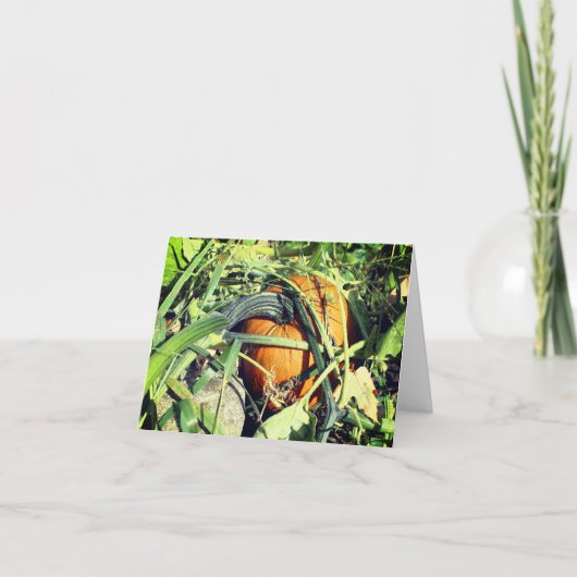 カボチャつる植物自然カスタマイズ可能ノートカード サンキューカード (正面)