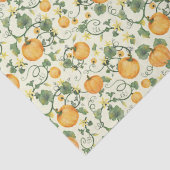 カボチャつる植物(コーンシルク) -ティッシュペーパー 薄葉紙 (詳細)