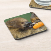 カボチャとの怠惰 コースター (左側)