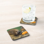 カボチャとの怠惰 コースター (右側)