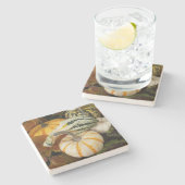 カボチャとカボチャの静物写真 ストーンコースター (横)