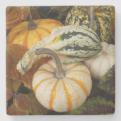 カボチャとカボチャの静物写真 ストーンコースター (正面)