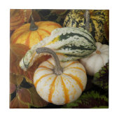 カボチャとカボチャの静物写真 タイル (正面)