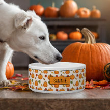 カボチャとカラフル紅葉パターン&名前