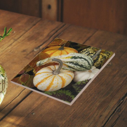 カボチャとカレーの静物写真 タイル