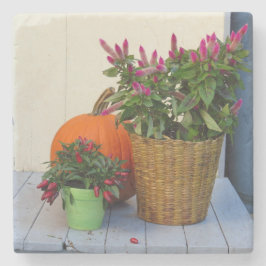 カボチャとコショウ植物 – Martha's Vineyard ストーンコースター