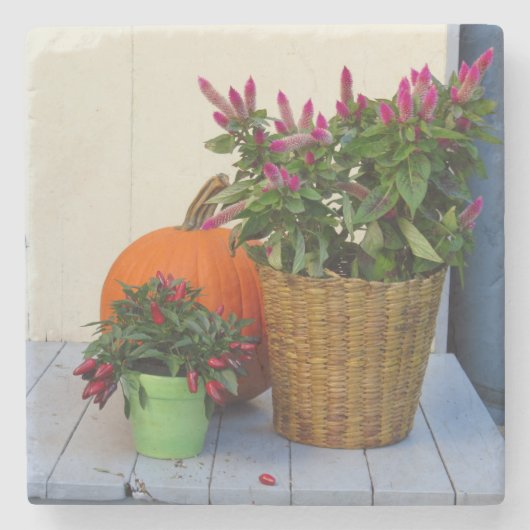 カボチャとコショウ植物 – Martha's Vineyard ストーンコースター (正面)