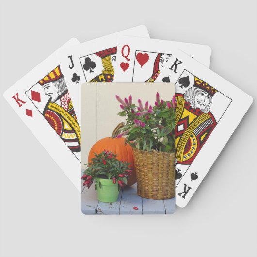 カボチャとコショウ植物 – Martha's Vineyard トランプ (裏面)