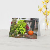 カボチャとコレウス – Martha's Vineyard カード (黄色い花)